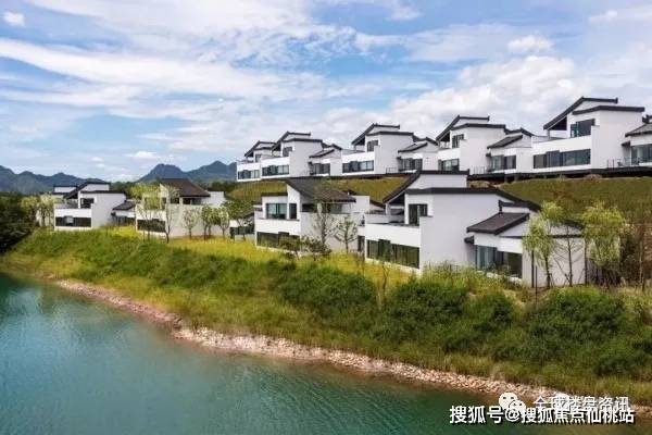 断崖狮吼声震天,横空云飘影印地,什么生肖，科学解答解释落实_wm451.49.89