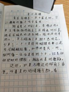 三五回归六必贏，四处风光作文幸打一个生肖，专家解答解释落实_nq34.69.47